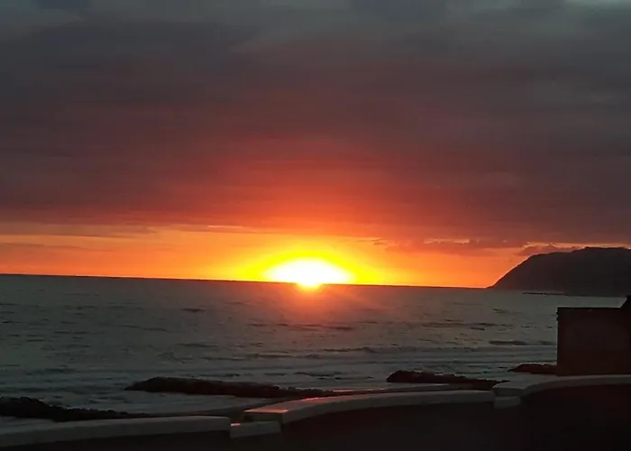 Rosa ميسانو ادرياتيكو