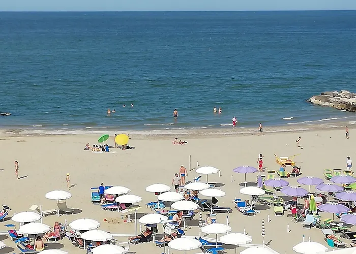 Rosa Misano Adriatico